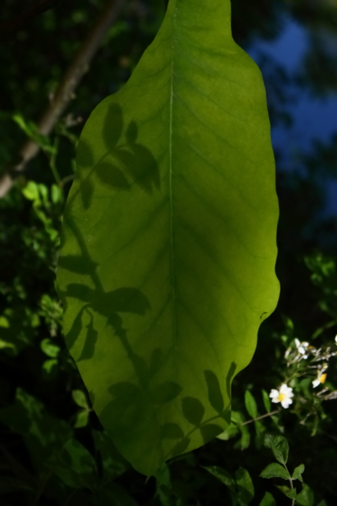 2012 05 20 4252